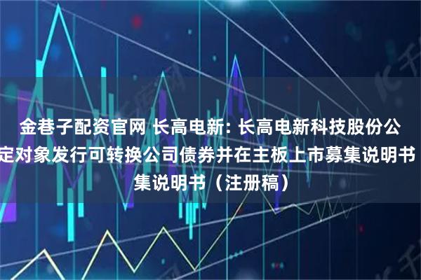 金巷子配资官网 长高电新: 长高电新科技股份公司向不特定对象发行可转换公司债券并在主板上市募集说明书（注册稿）